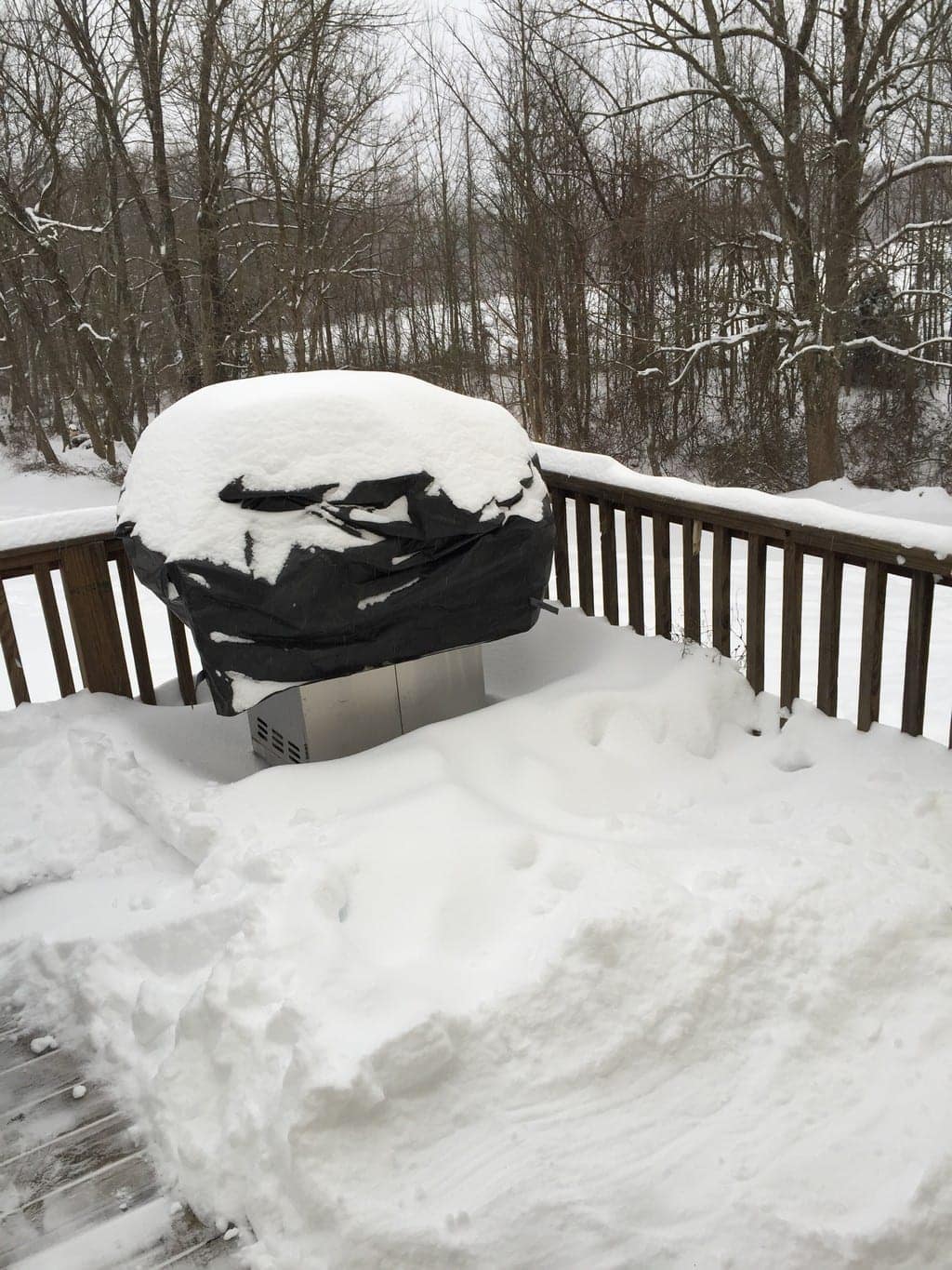 snow day for blog_00013