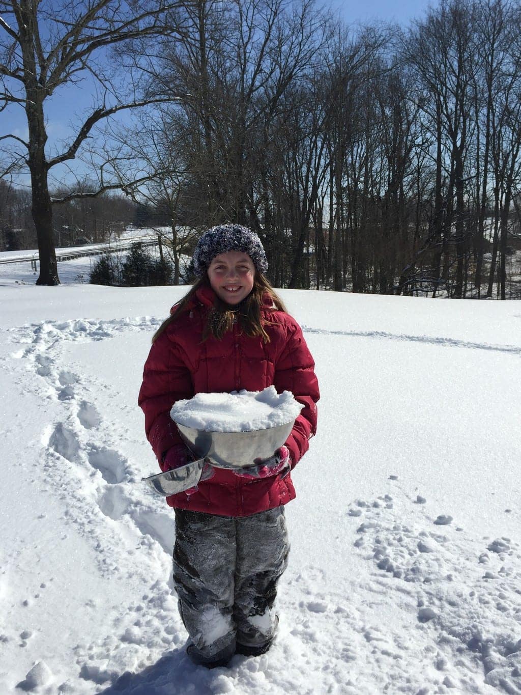 snow day for blog_00015