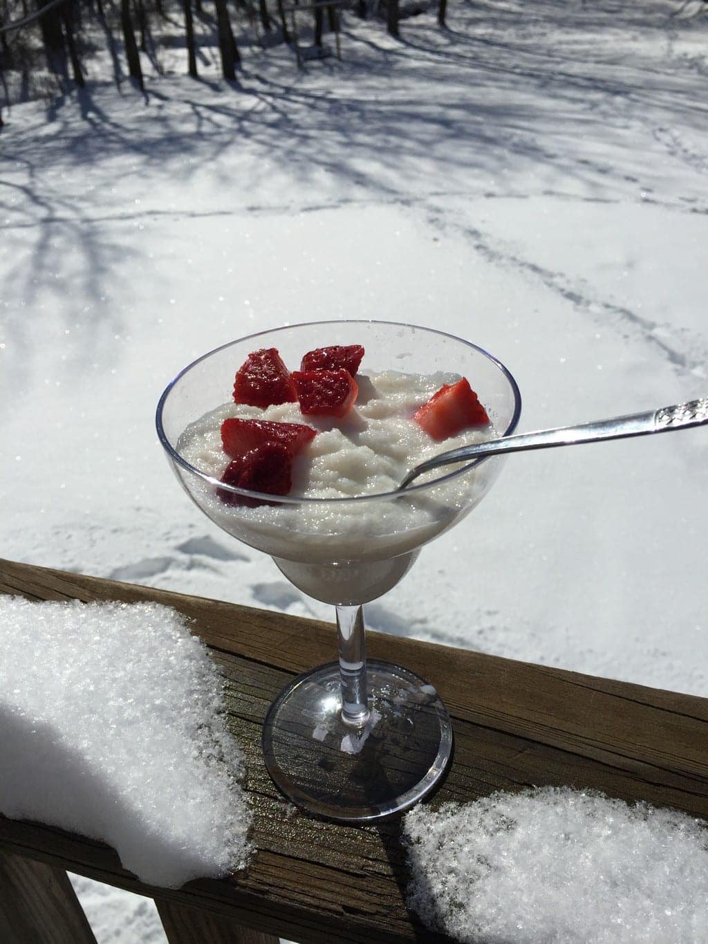 snow day for blog_00016