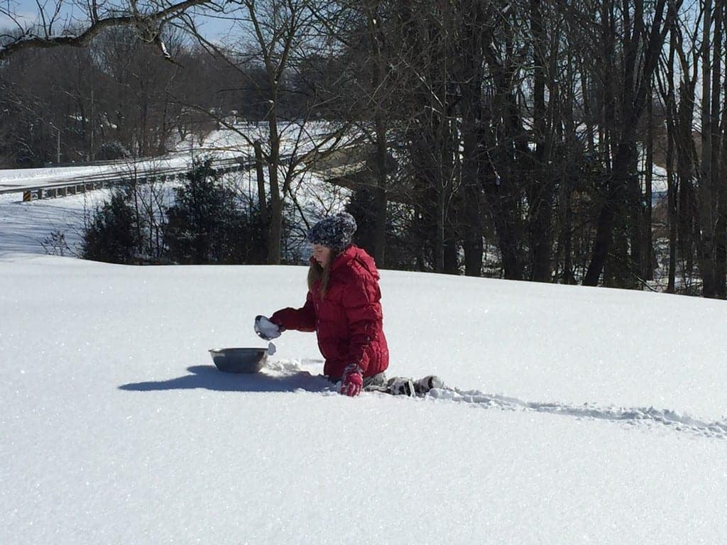 snow day for blog_00014