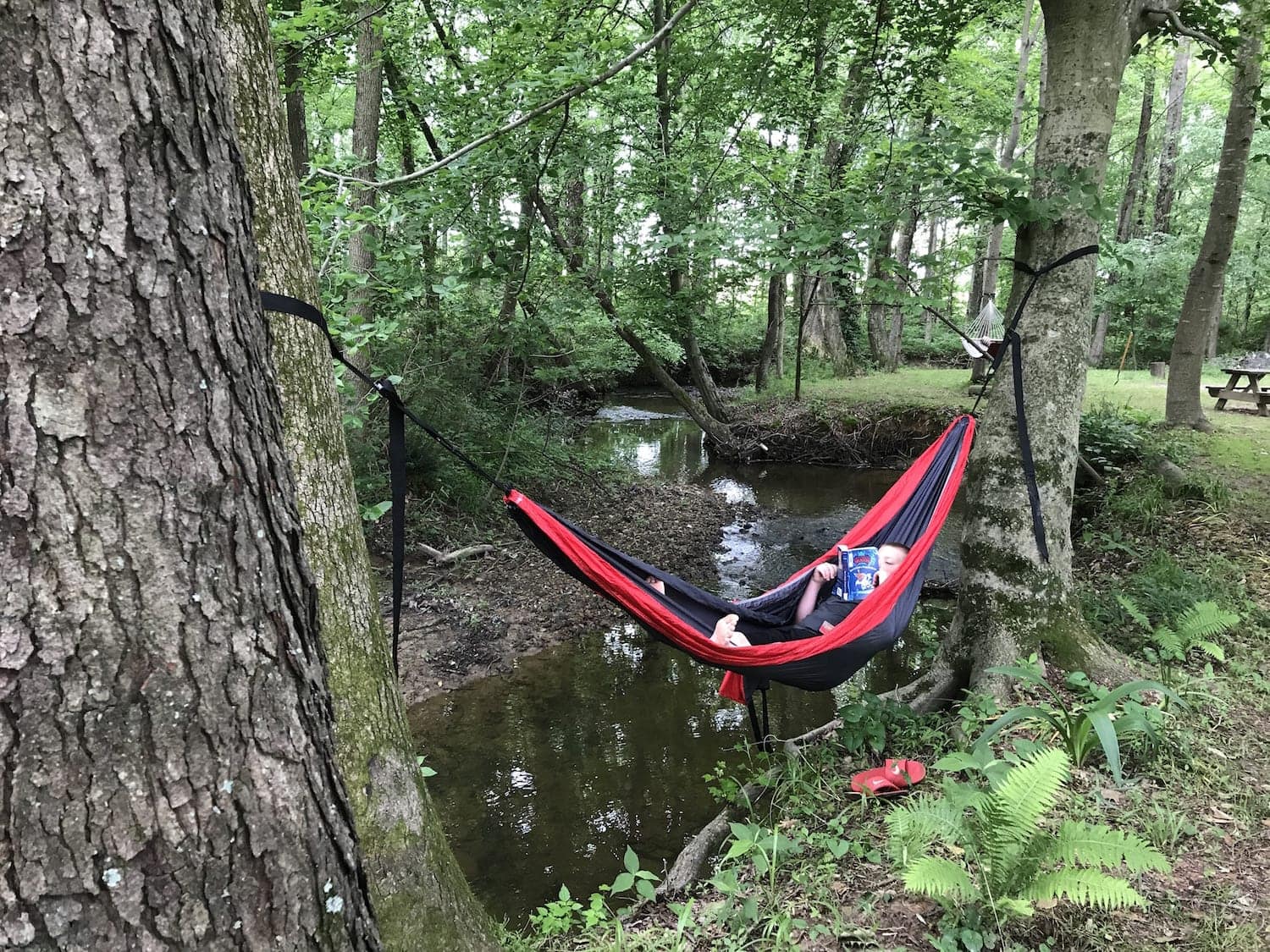 portable hammock