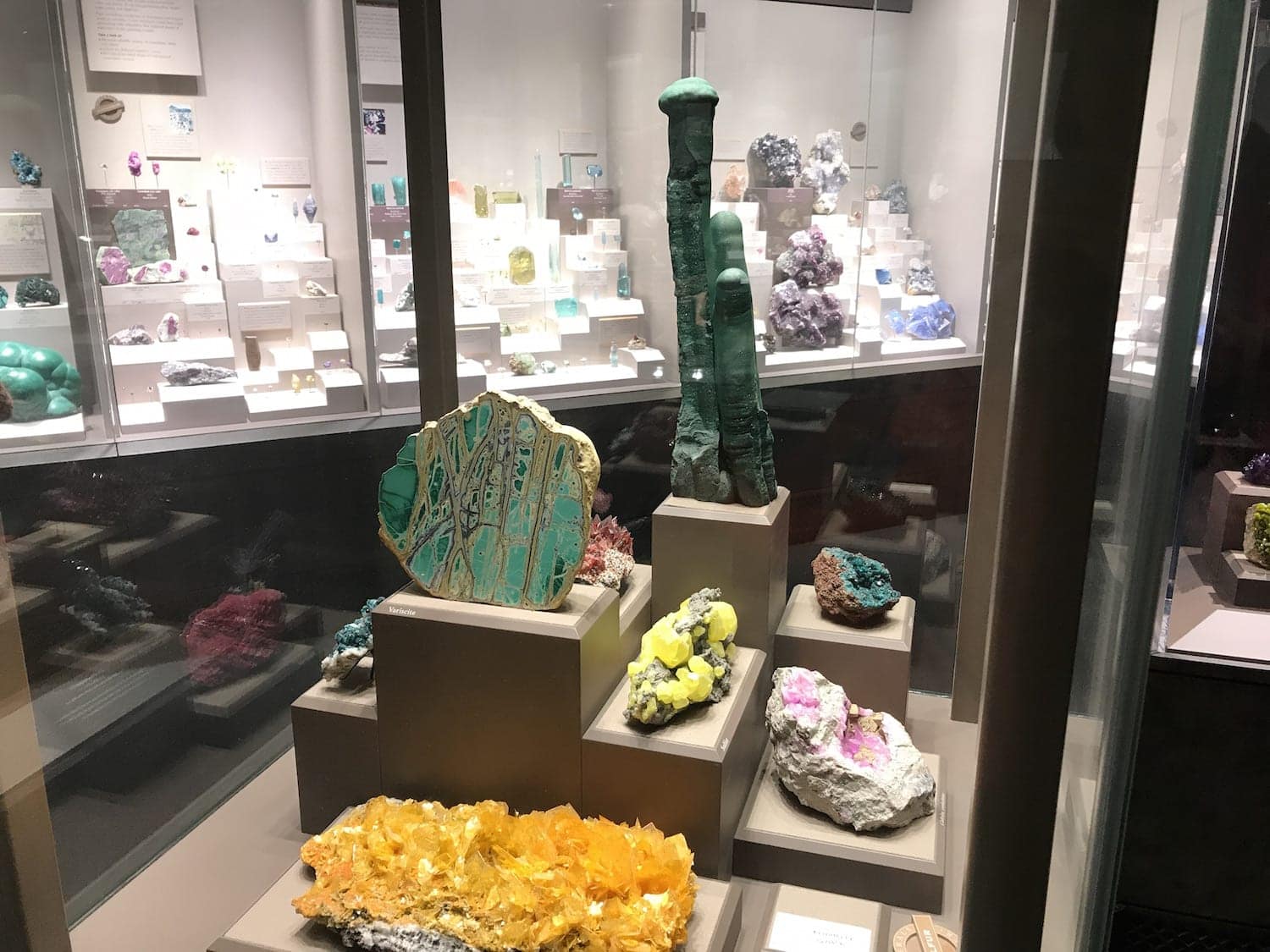 National Museum of Natural History