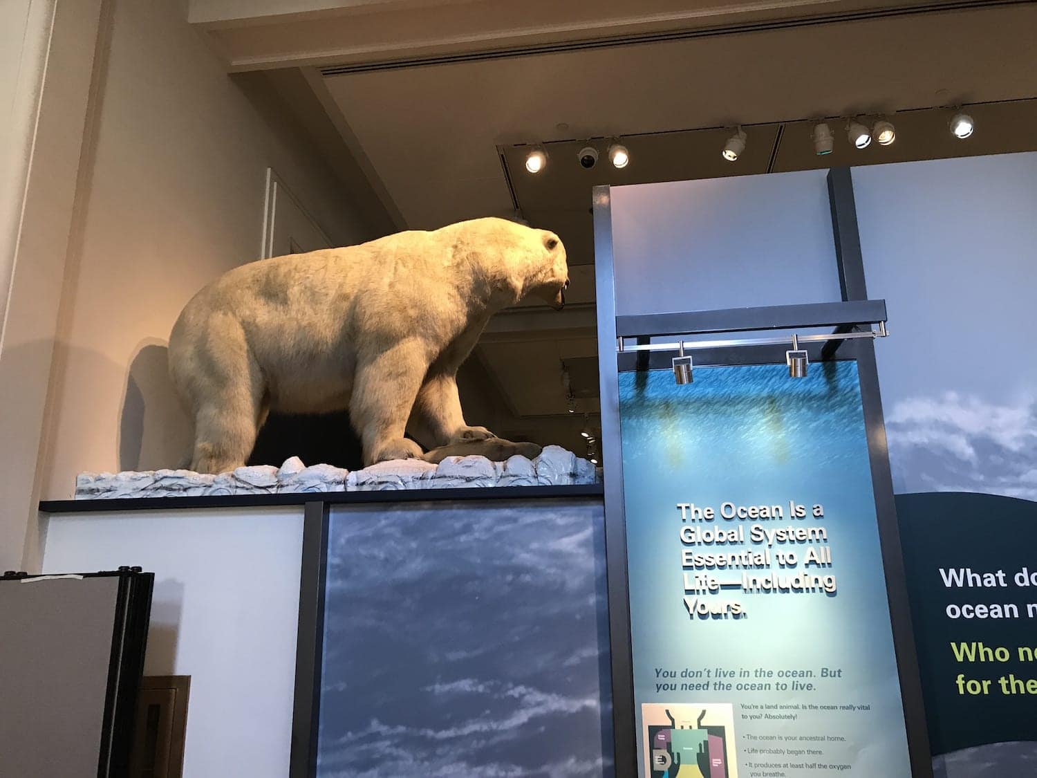 National Museum of Natural History