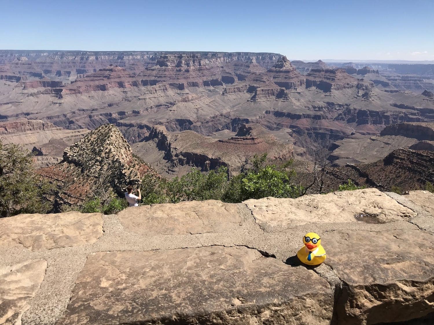 Seymour at the Grand Canyon
