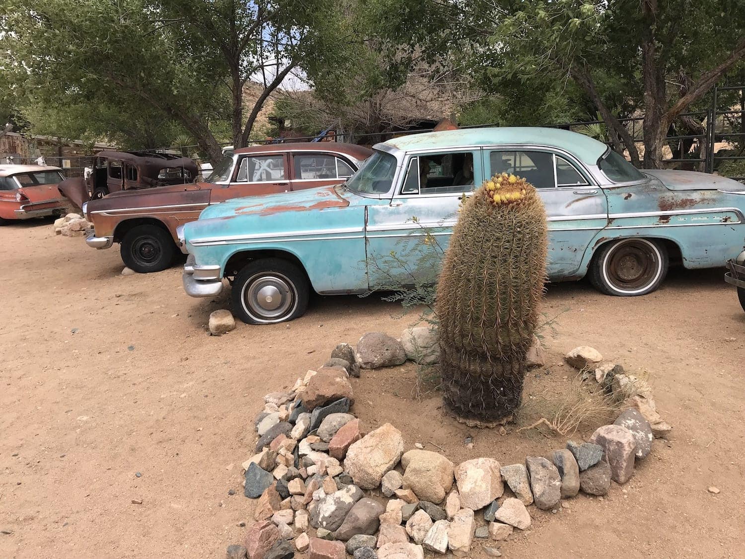 Hackberry General Store