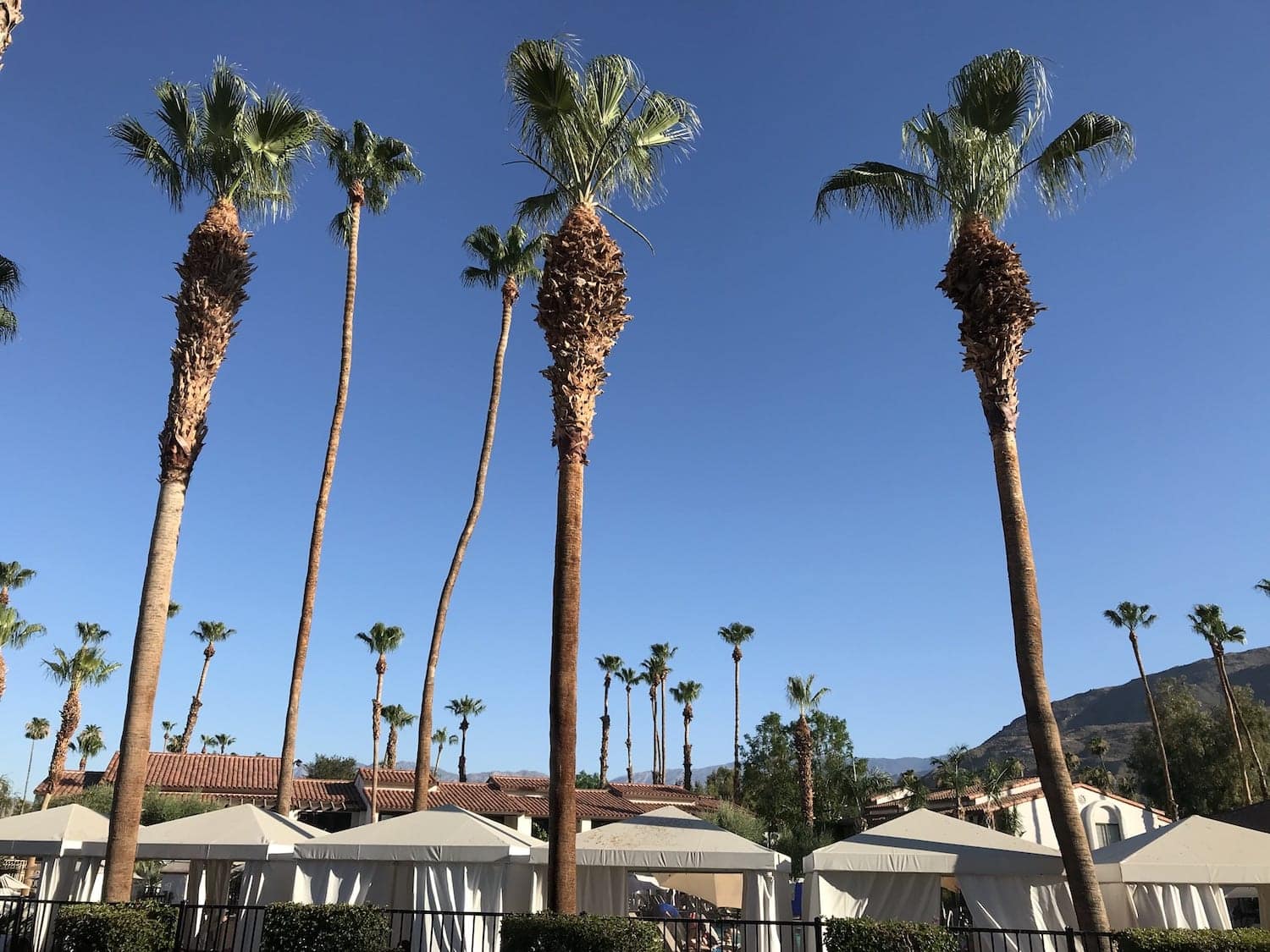 Splashtopia Omni Resort & Spa