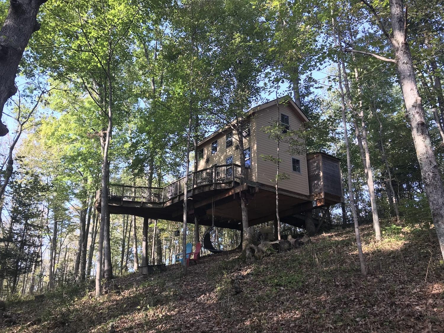 Pete Nelson Treehouse Adventure