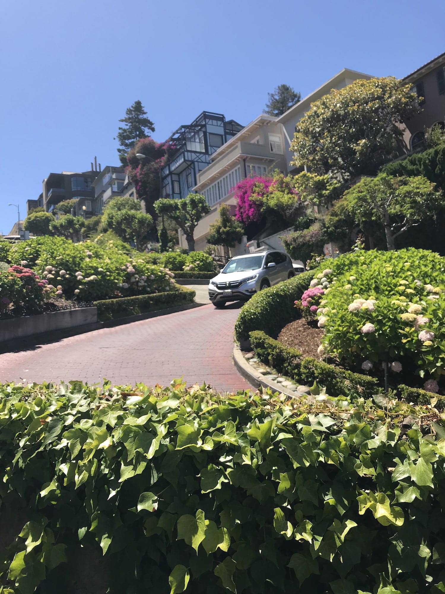 Lombard Street San Francisco