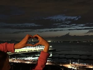 STatue of Liberty from Brooklyn Promenade