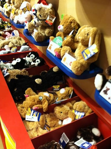 choices 2 Build a Bear on a Budget