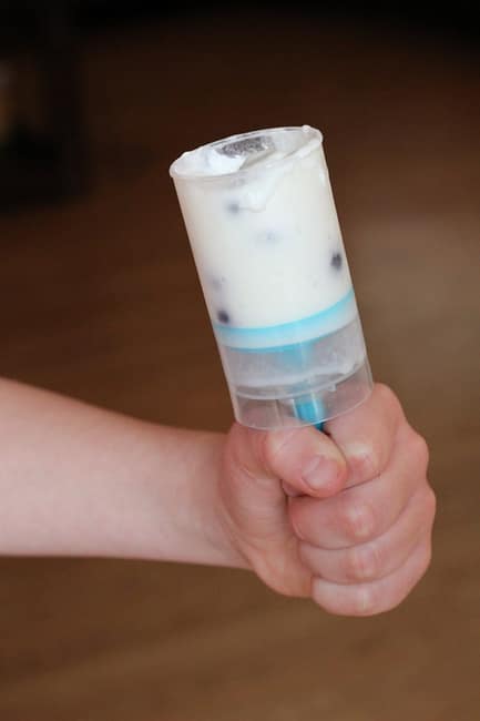 frozen yogurt blueberry pop