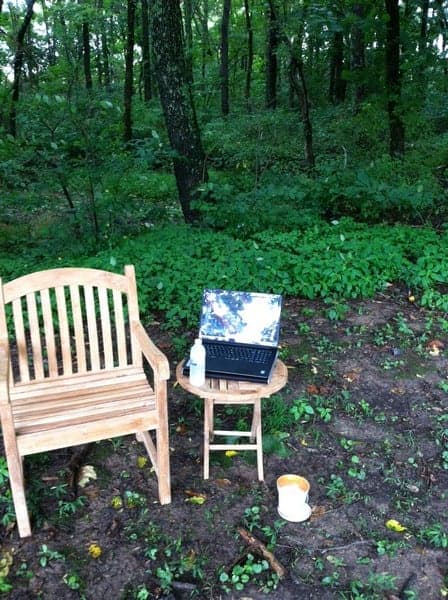 SHARON - shade garden office_tn