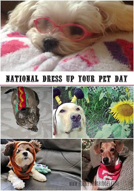 pet-costumes-national-dress-up-your-pet-day