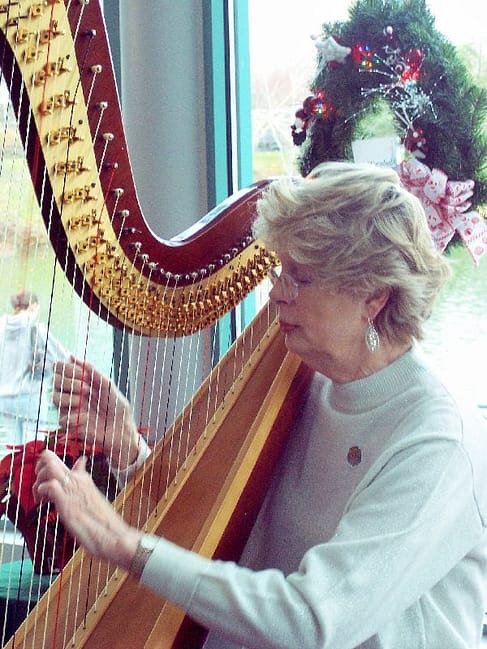 jan-hill-harp