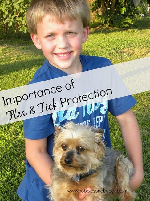 flea-tick-protection