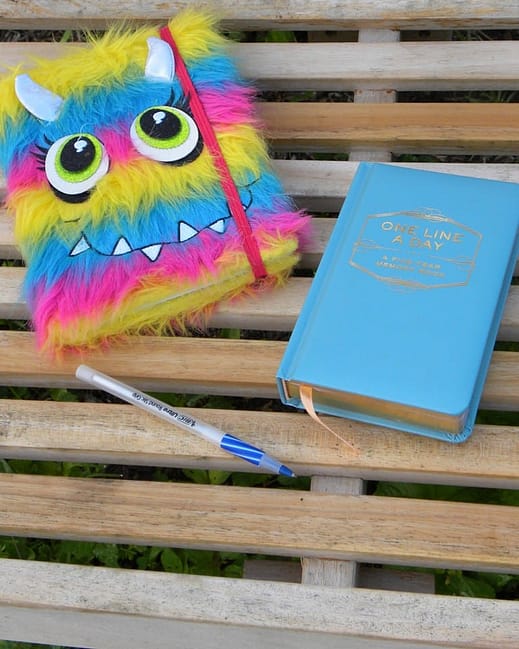 write-a-journal-diaries