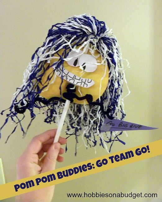 pom pom buddies go team go