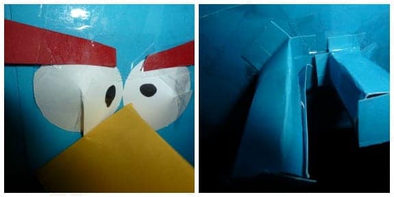 Face Close up and Feathers