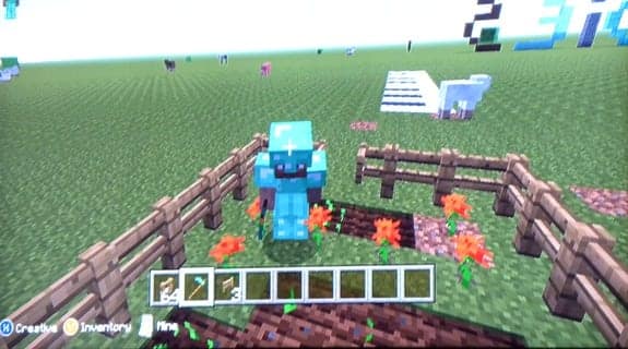 minecraft garden