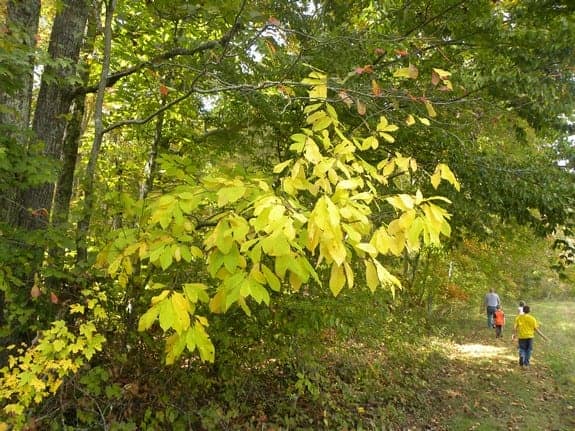 central kentucky Wildlife Refuge