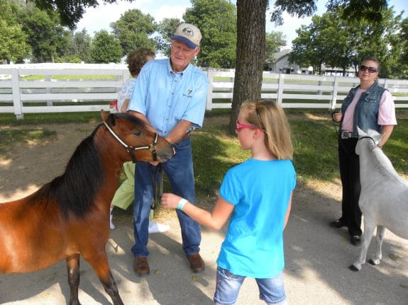 A chance to get up close to the minis before they went on parade in the Covered Arena