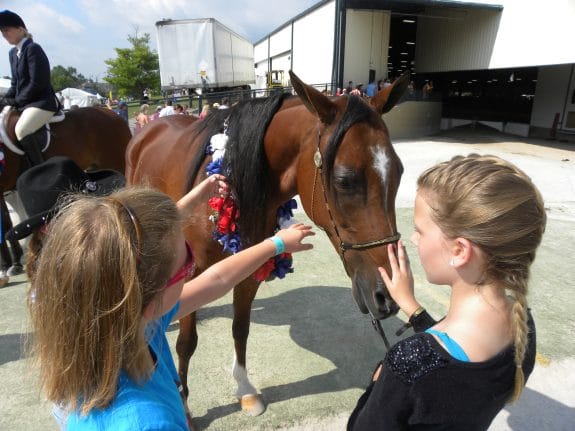 Petting the horses after the shows
