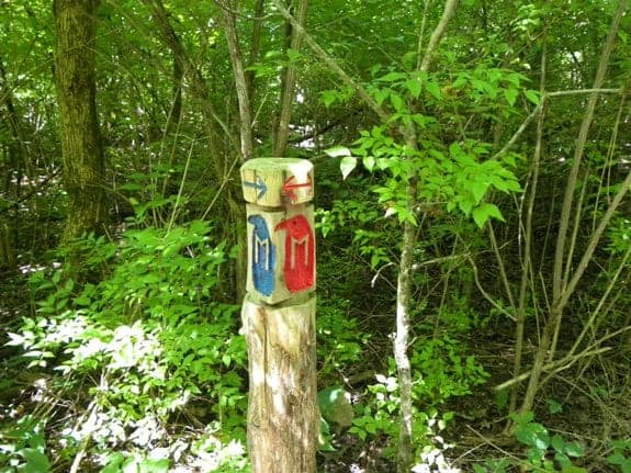 raven run trailmarker