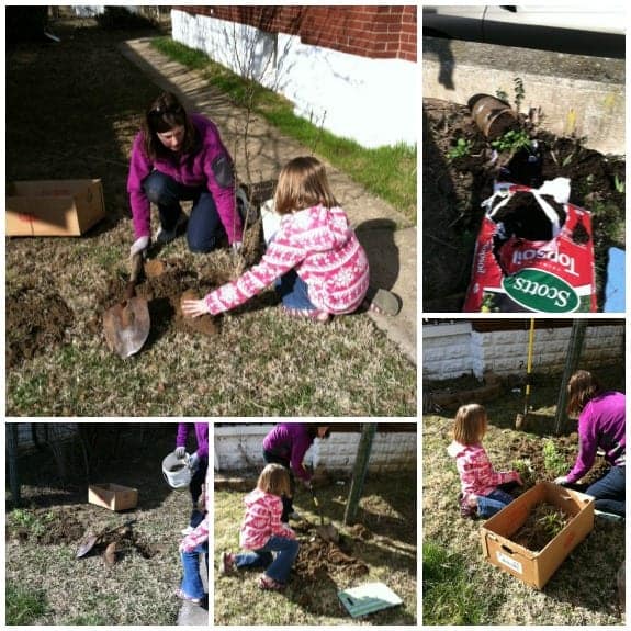 landscaping from scratch