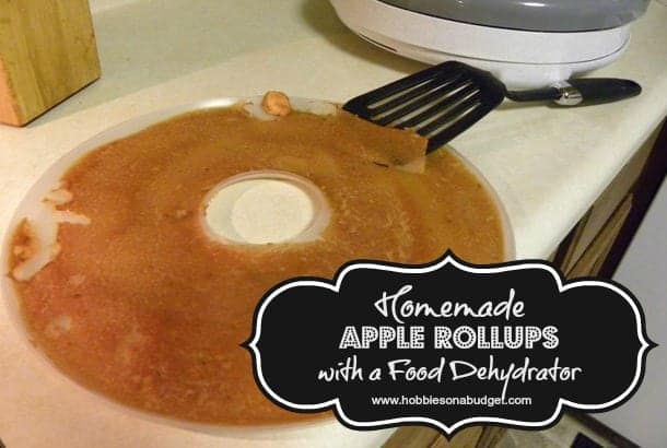 homemade apple rollups