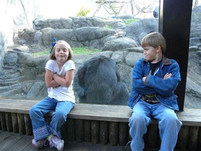 Kids at the zoo