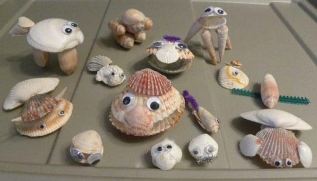 seashell-animals-650x372