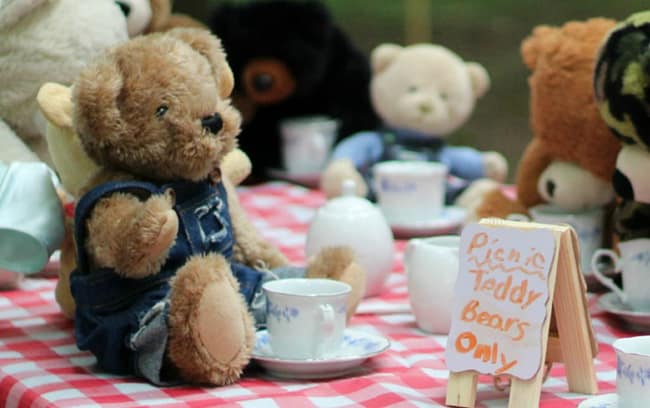 Teddy Bear Picnic Day