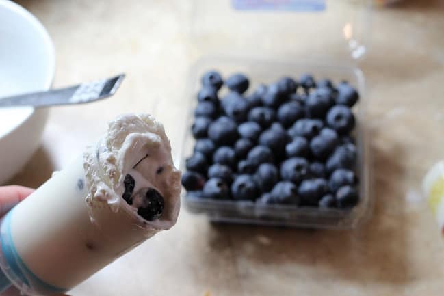 frozen-yogurt-blueberries-pop