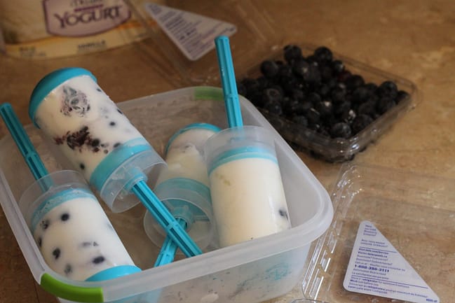 frozen-yogurt-blueberries-pops