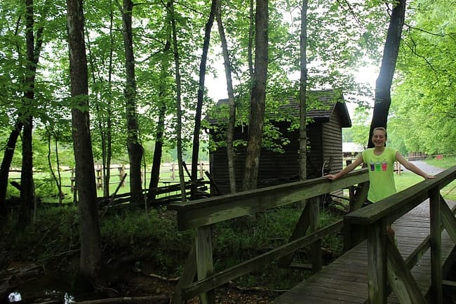Homeplace 1850s Working Farm and Living History Museum