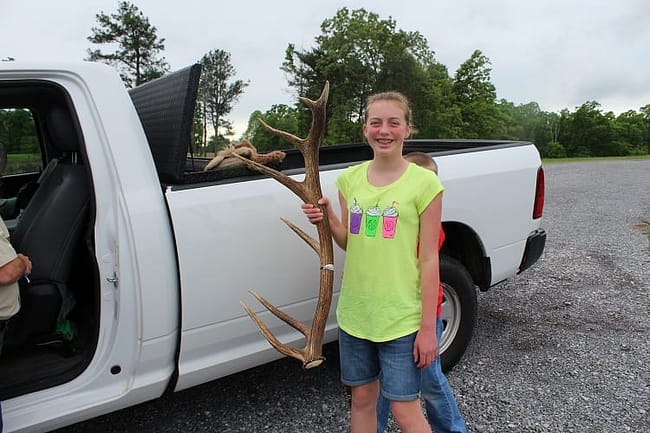 Elk & Bison Prairie National Recreation Area