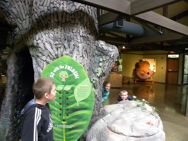 ijams0005 Ijams Nature Center