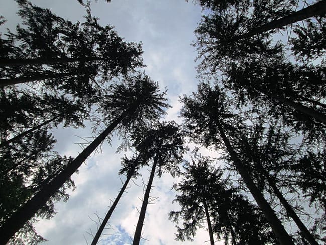 james-buchanans-birthplace