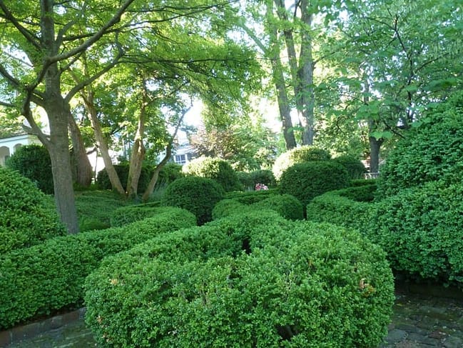 woodrow wilson garden
