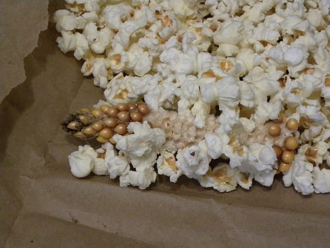 popcorn 3