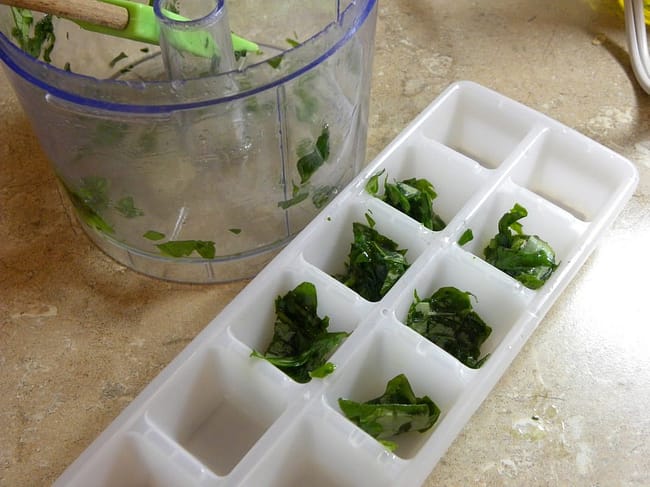 basil olive oil freeze_tn