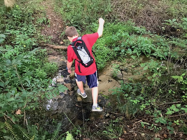 Get outside and hike!