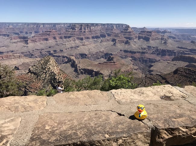 Seymour at the Grand Canyon