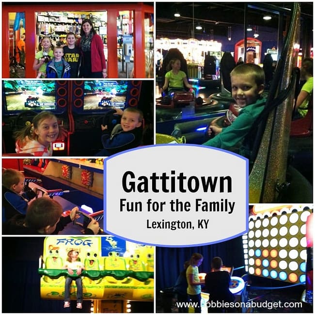 gattitown-fun-for-the-family