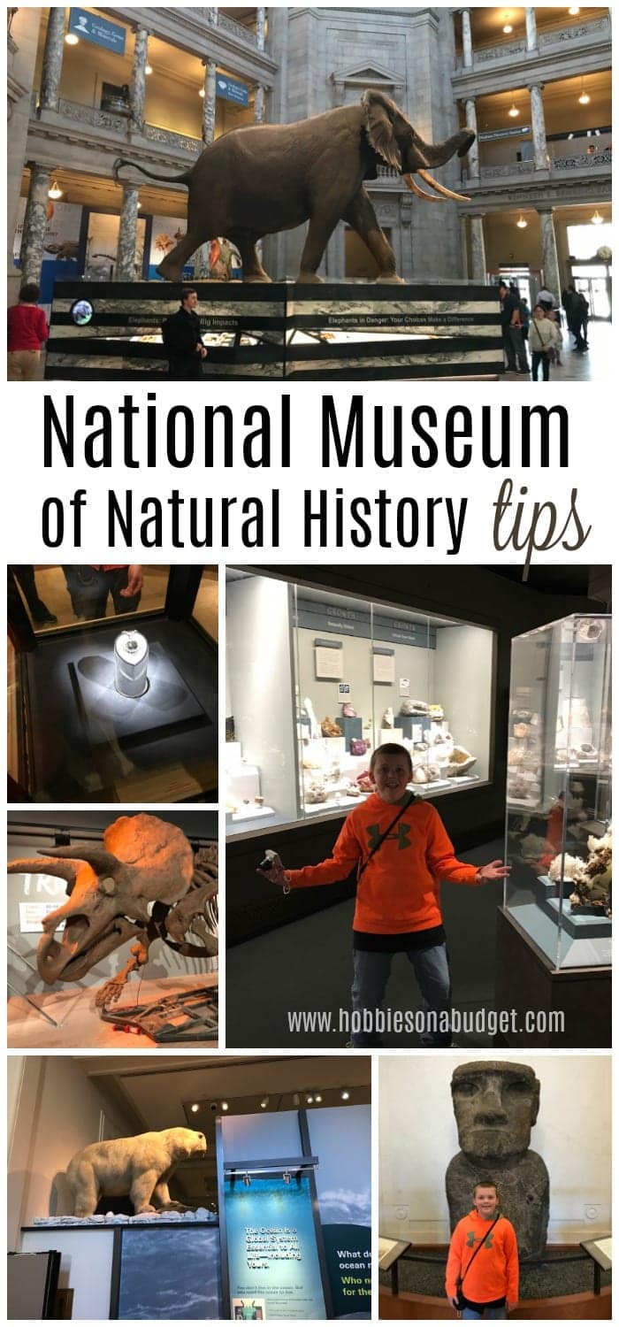 National Museum of Natural History
