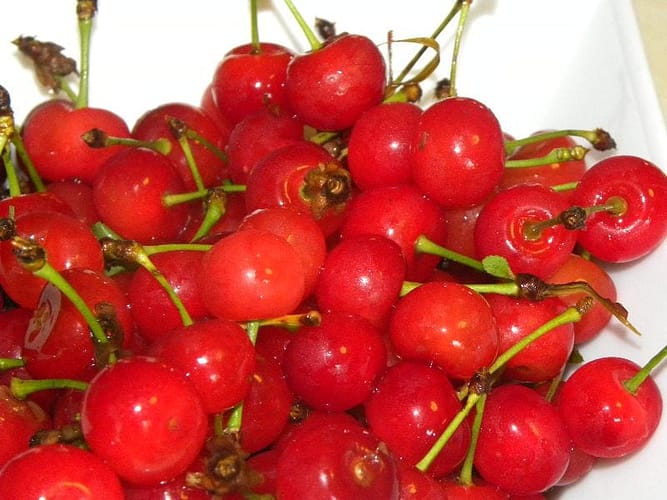 all-about-cherries
