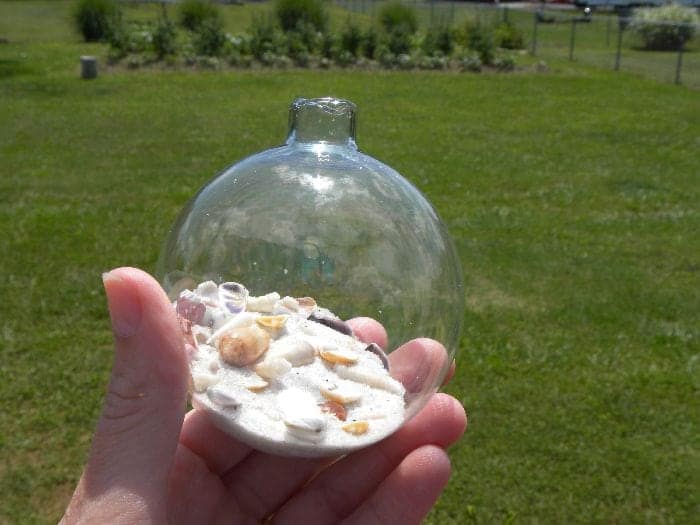 seashell ornament