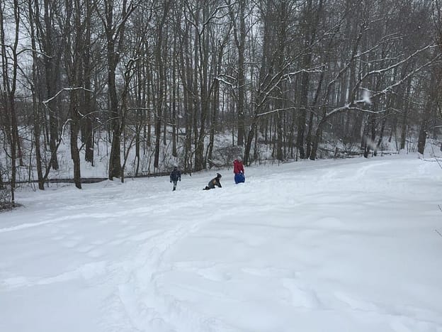 snow day for blog_00012