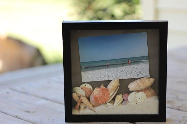 seashell-shadowbox