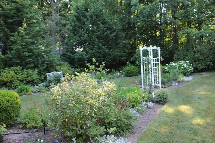 President Millard Fillmore Home & Garden